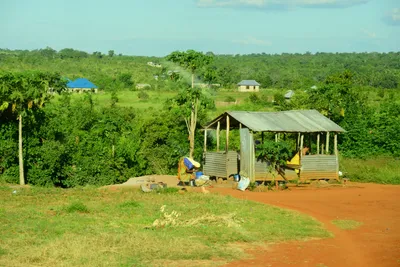 DSC_9714 (Large).JPG